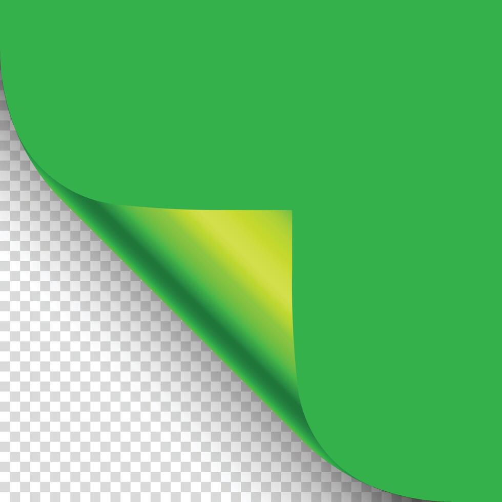 Grün Papier kräuseln. zusammengerollt Seite Ecke mit Schatten. leer Blatt von Papier. vektor