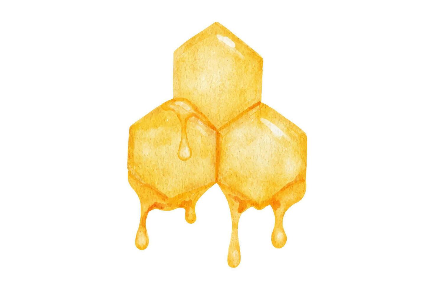 bikakor med nuvarande droppar av honung. vattenfärg illustration isolerat på vit bakgrund. vektor