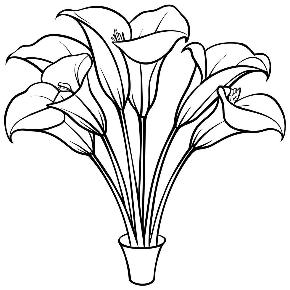 Calla Lilie Blume Strauß Gliederung Illustration Färbung Buch Seite Design, Calla Lilie Blume Strauß schwarz und Weiß Linie Kunst Zeichnung Färbung Buch Seiten zum Kinder und Erwachsene vektor