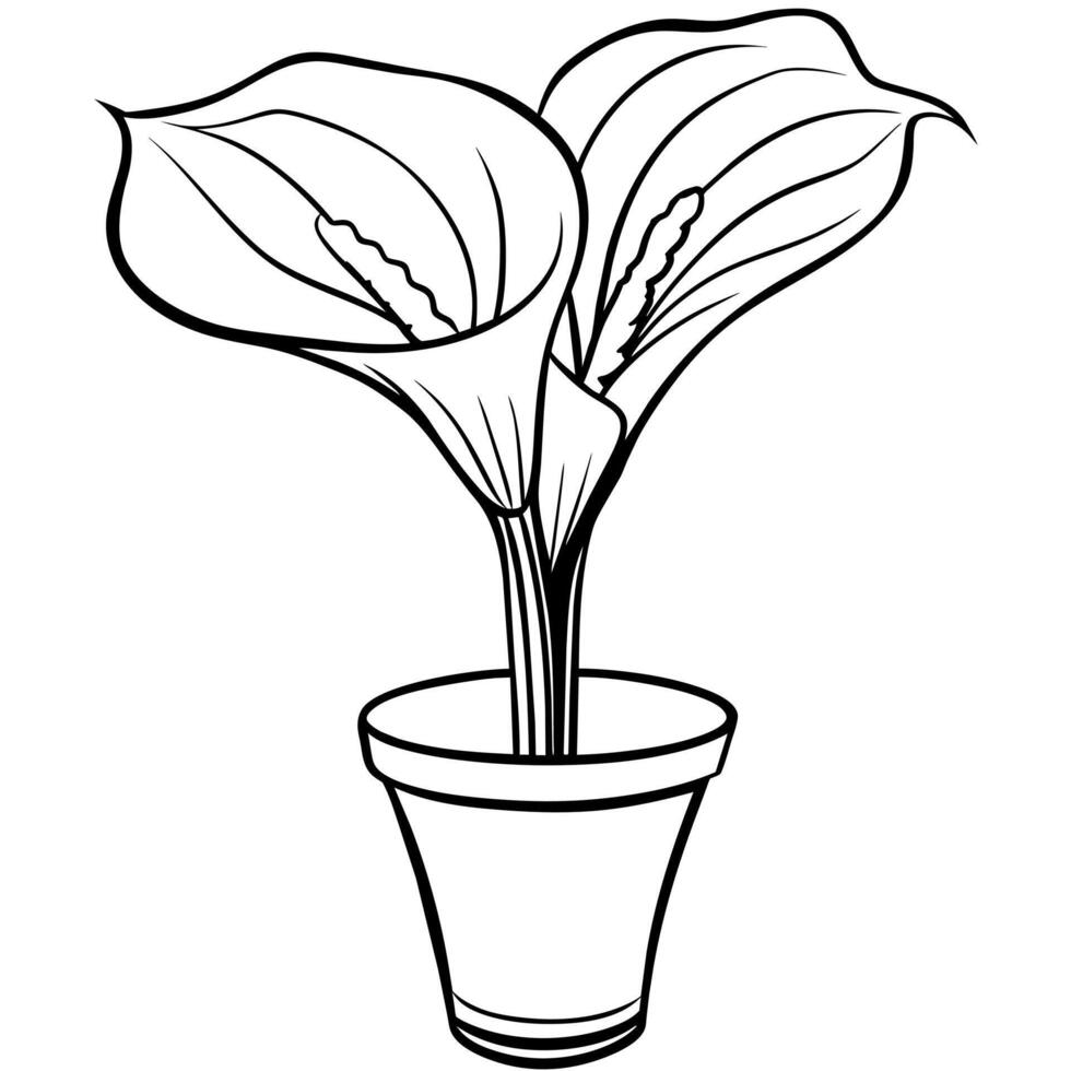 Calla Lilie Blume auf das Vase Gliederung Illustration Färbung Buch Seite Design, Calla Lilie Blume auf das Vase schwarz und Weiß Linie Kunst Zeichnung Färbung Buch Seiten zum Kinder und Erwachsene vektor