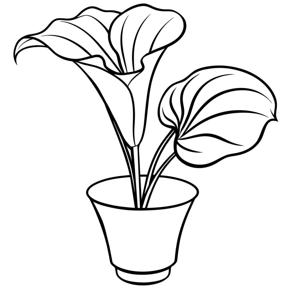 Calla Lilie Blume auf das Vase Gliederung Illustration Färbung Buch Seite Design, Calla Lilie Blume auf das Vase schwarz und Weiß Linie Kunst Zeichnung Färbung Buch Seiten zum Kinder und Erwachsene vektor