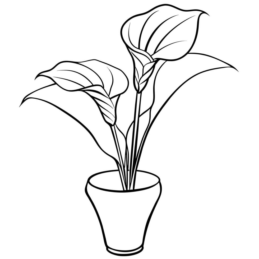 Calla Lilie Blume auf das Vase Gliederung Illustration Färbung Buch Seite Design, Calla Lilie Blume auf das Vase schwarz und Weiß Linie Kunst Zeichnung Färbung Buch Seiten zum Kinder und Erwachsene vektor