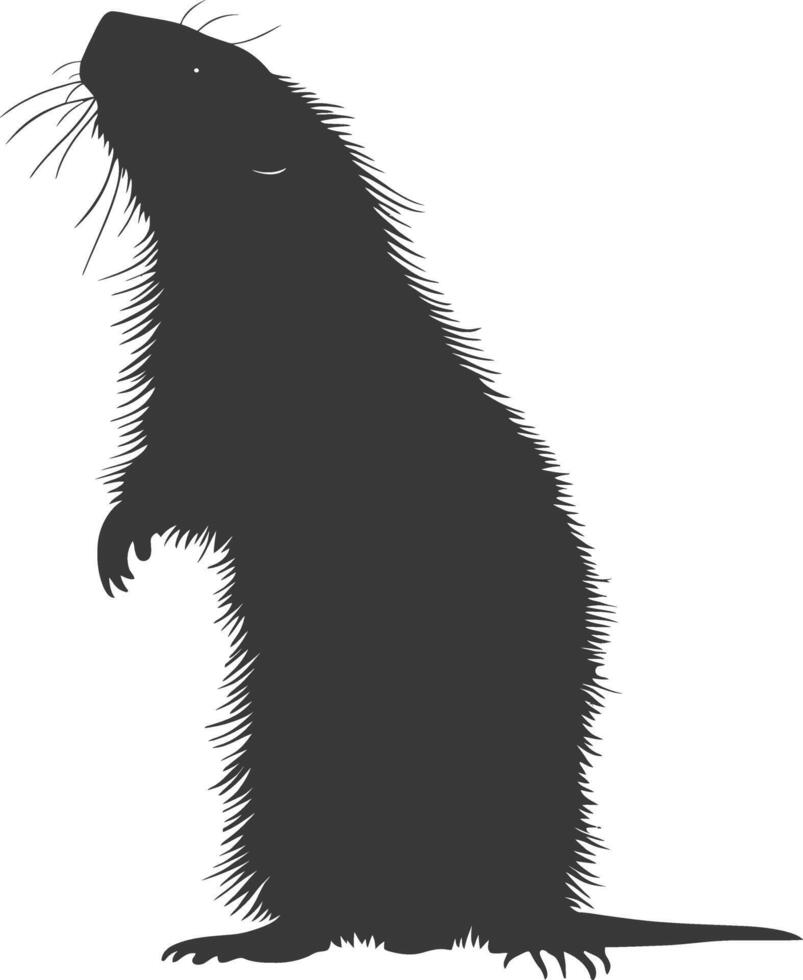 Silhouette Maulwurf Tier schwarz Farbe nur voll Körper vektor