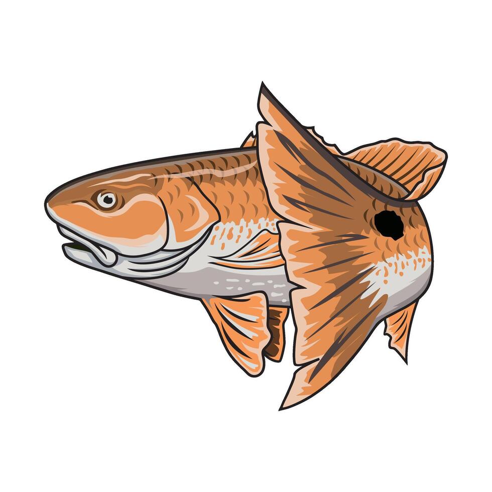 röd fisk fiske illustration logotyp vektor