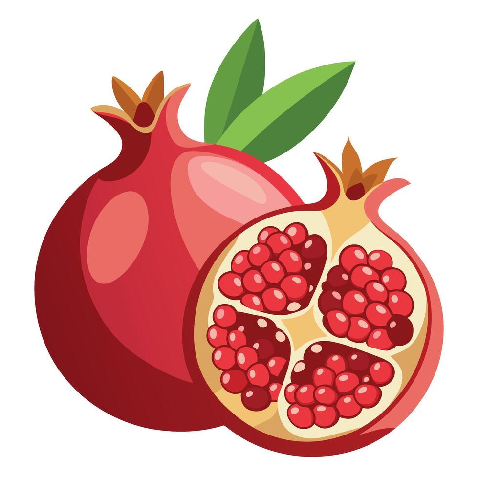 granatäpple frukt illustration vektor