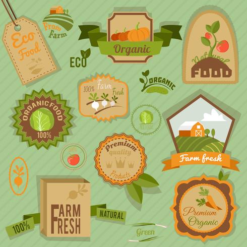 Eco etiketter grönsaker vektor