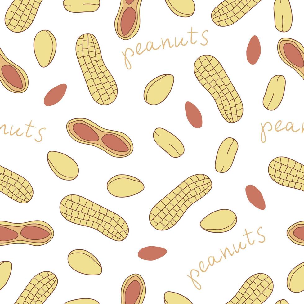 Vektor nahtlose Muster von farbigen Nüssen. Hintergrund mit isolierten hellen Erdnüssen wiederholen. Lebensmitteltextur im Cartoon- oder Doodle-Stil.