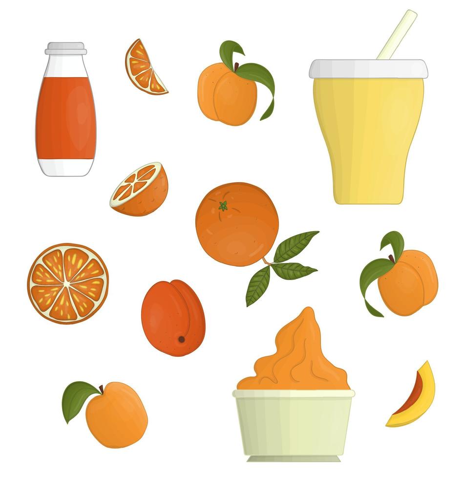 Vektor-Joghurt- und Fruchtillustration. Set aus trinkbarem und gefrorenem Joghurt. frische Bio-Milchprodukte mit Orange und Aprikose. vektor