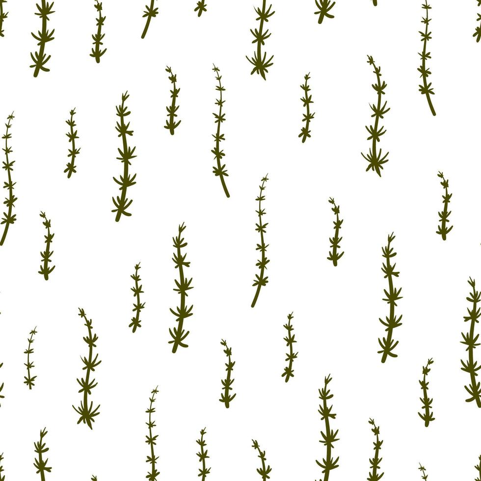 Schachtelhalm Heilpflanze nahtlose botanische Vektormuster. Equisetum-Pflanze und handgezeichnete Escape-Textur. Feld floraler Hintergrund. vektor