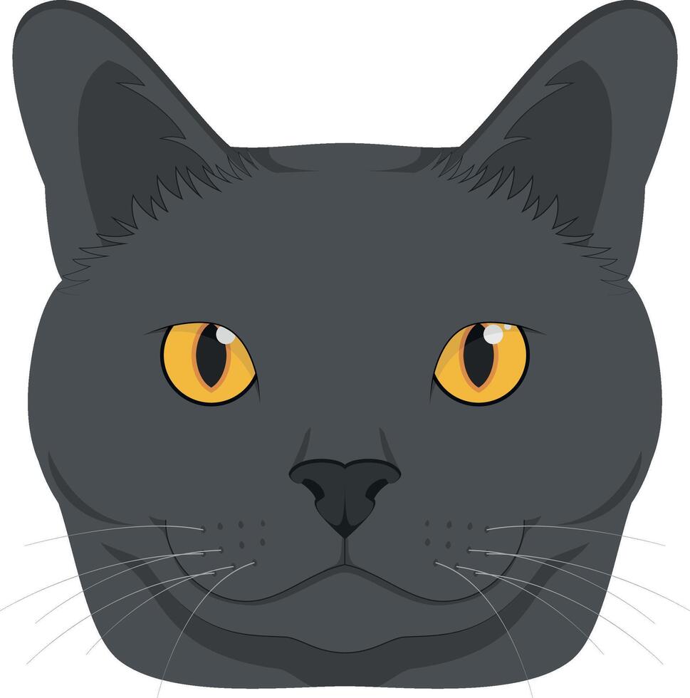 chartreux katt isolerat på vit bakgrund illustration vektor