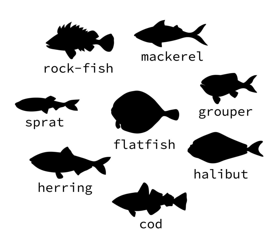 vektor uppsättning svarta havet fisk silhuetter med text. samling av isolerade på vit bakgrund monokrom hälleflundra, djur, stenfisk, makrill, sill, plattfisk, skarpsill, havabborre, torsk, abborre, kungsfisk