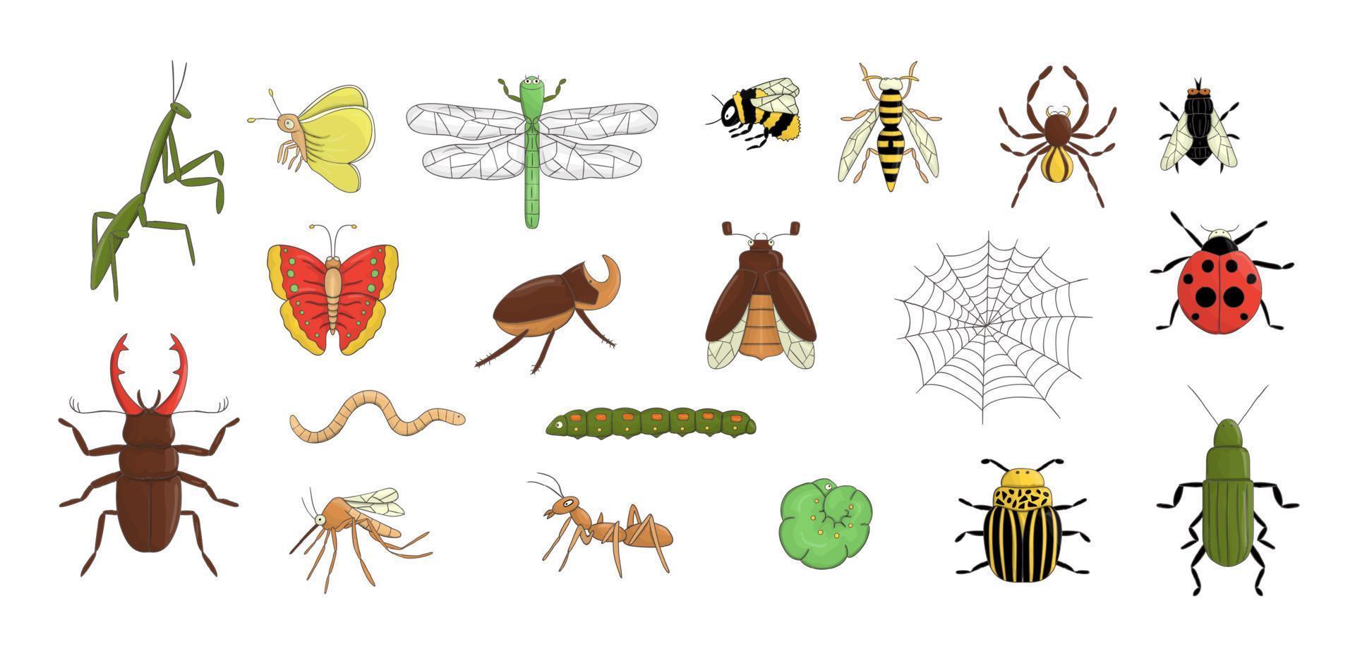 Vektor-Set von farbigen Insekten. Sammlung von isoliert auf weißem Hintergrund helle Biene, Hummel, Maikäfer, Fliege, Motte, Schmetterling, Raupe, Spinne, Marienkäfer, Käfer, Libelle, Wespe, Mücke, Wurm vektor