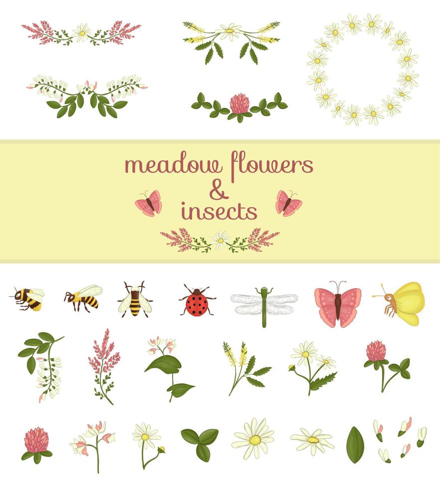 vektor uppsättning färgade vilda blommor element och insekter. samling av bi, humla, trollslända, nyckelpiga, mal, fjäril, akacia, ljung, kamomill, bovete, klöver, melilot.