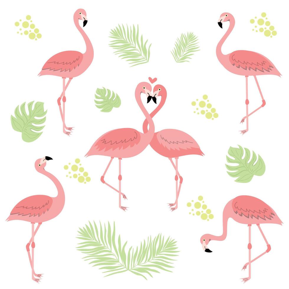 söt flamingo illustration uppsättning vektor