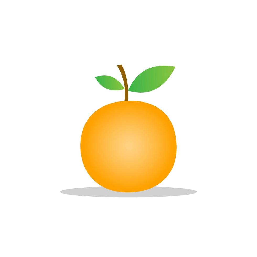 Vektor-Illustration von Orangenfrucht-Design. orangefarbene Textur. weiß isoliert. modernes Fruchtdesign vektor