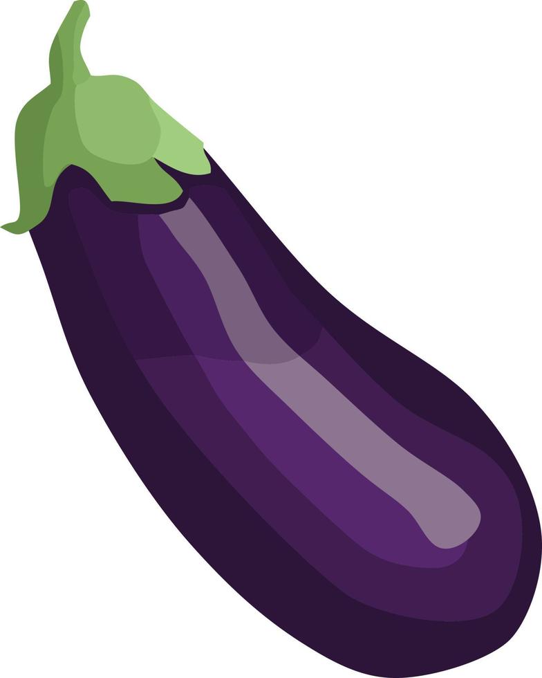 aubergine frukt vektor illustration