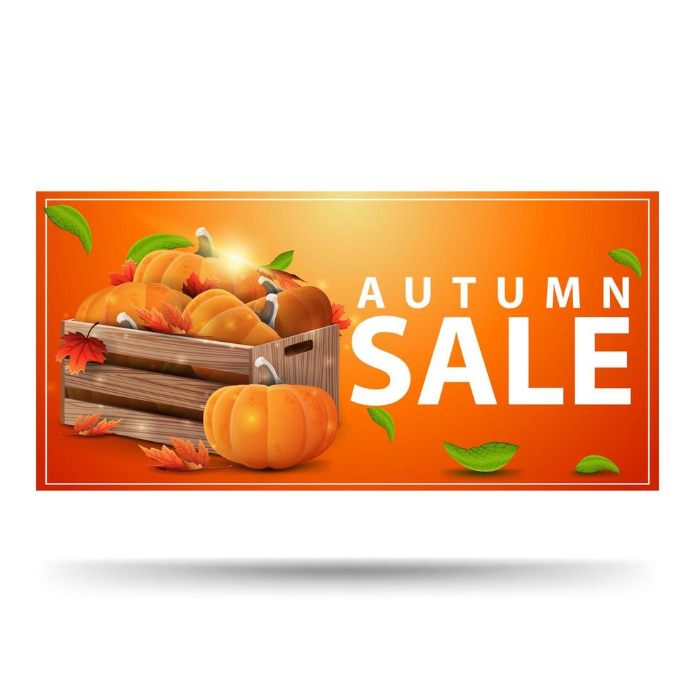 Herbstverkauf, orangefarbenes Rabattbanner mit Holzkisten mit reifen Kürbissen und Herbsttraufen vektor