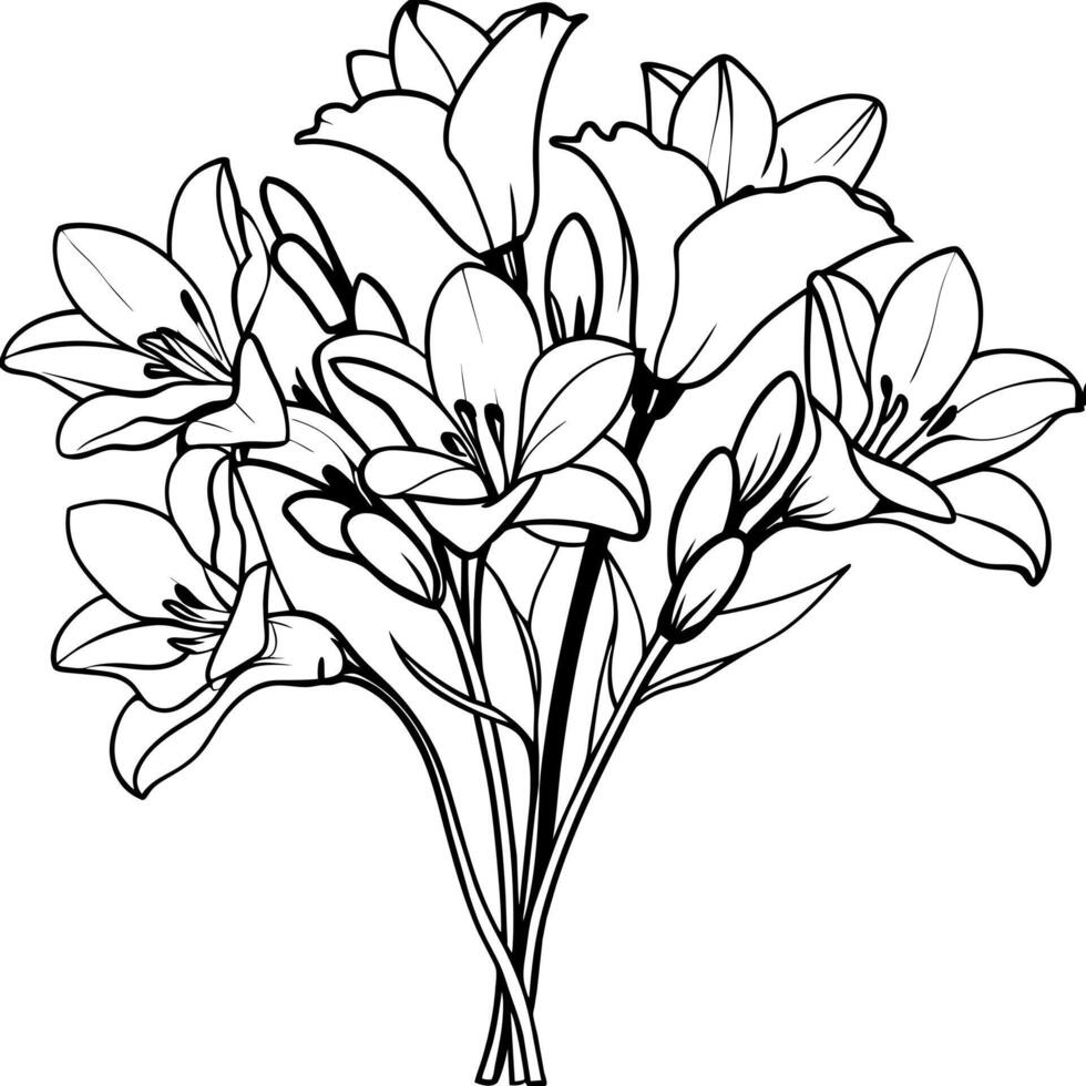 fresia blomma bukett översikt illustration färg bok sida design, fresia blomma bukett svart och vit linje konst teckning färg bok sidor för barn och vuxna vektor