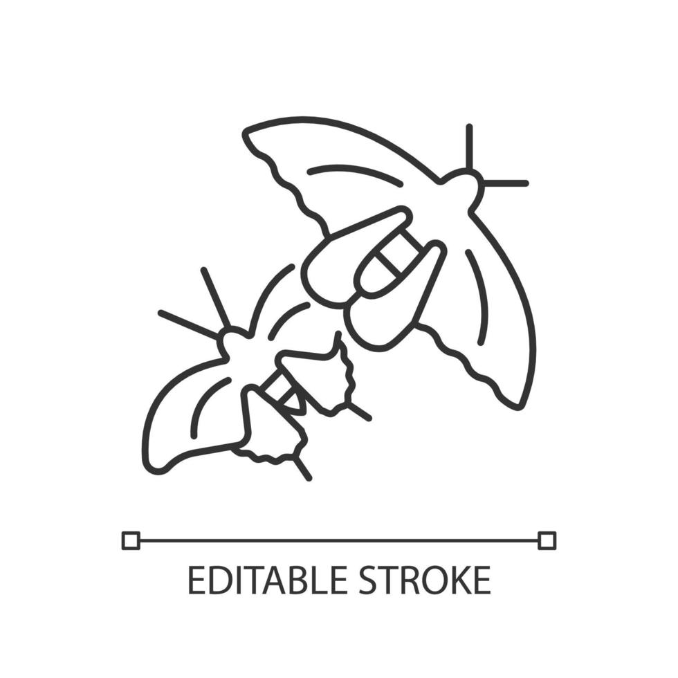 Schmetterlinge der linearen Ikone Singapurs. nationale Insekten. asiatische Schmetterlingsarten. Naturpark. dünne Linie anpassbare Illustration. Kontursymbol. Vektor isolierte Umrisszeichnung. bearbeitbarer Strich