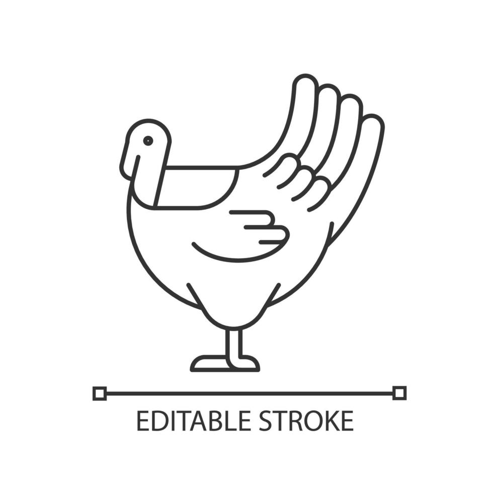 männliche Truthahn lineares Symbol. kommerzielle Geflügelzucht für Lebensmittel. Hausvogel, der für Fleisch wächst. dünne Linie anpassbare Illustration. Kontursymbol. Vektor isolierte Umrisszeichnung. bearbeitbarer Strich