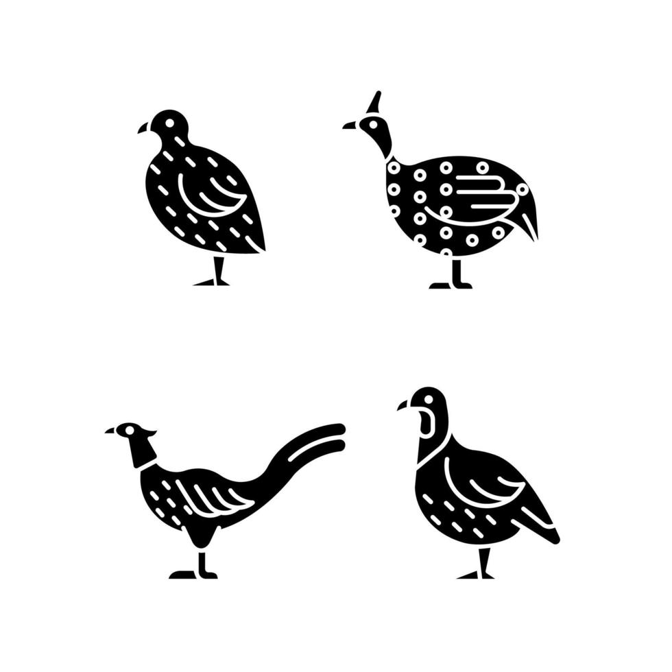 landfowl svart glyf ikoner på vitt utrymme. japansk vaktel. fasanfamilj. pärlhöns. tama fåglar. kommersiell fjäderfäuppfödning. siluett symboler. vektor isolerade illustration
