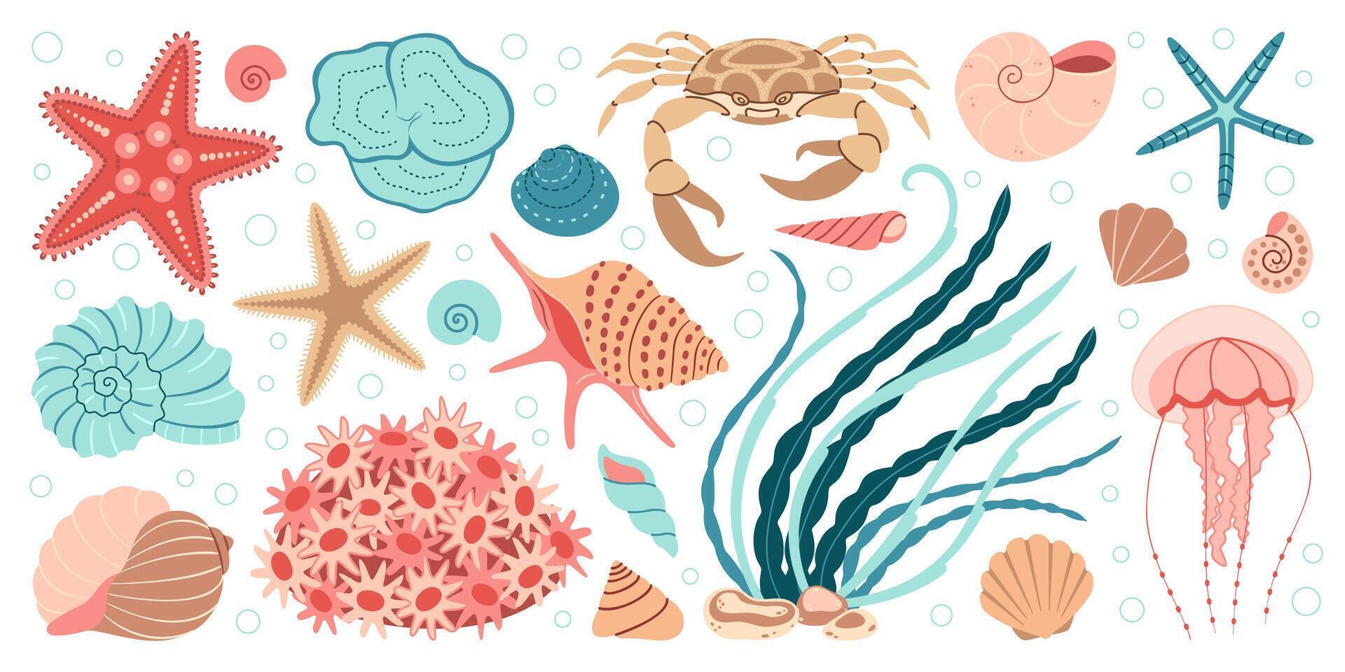 hand dragen tecknad serie hav liv element uppsättning. vatten- djur, anemoner, krabba, manet, alger, snäckskal, sjöstjärna, hav häst. trendig platt klotter uppsättning under vattnet ekosystem illustration vektor