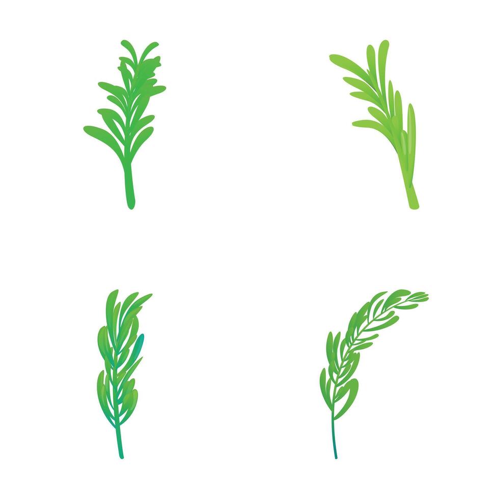 rosmarin växt ikoner uppsättning tecknad serie . grön blad och gren av rosmarin vektor