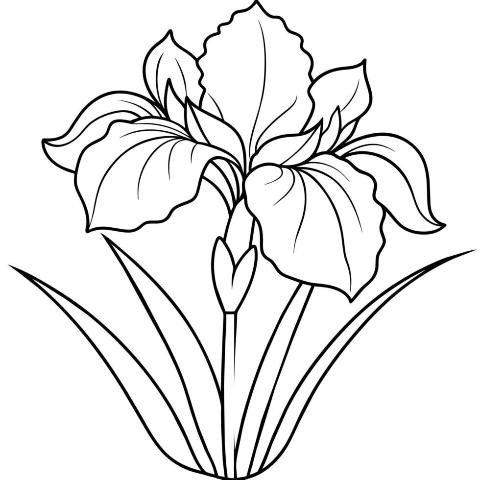 Iris Blume Pflanze Gliederung Illustration Färbung Buch Seite Design, Iris Blume Pflanze schwarz und Weiß Linie Kunst Zeichnung Färbung Buch Seiten zum Kinder und Erwachsene vektor