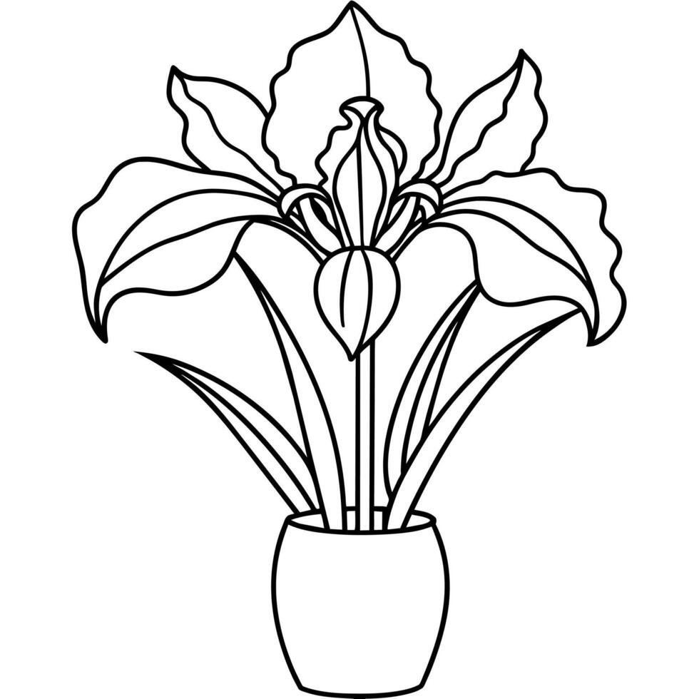 Iris Blume auf das Vase Gliederung Illustration Färbung Buch Seite Design, Iris Blume auf das Vase schwarz und Weiß Linie Kunst Zeichnung Färbung Buch Seiten zum Kinder und Erwachsene vektor