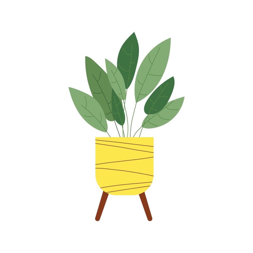 Zimmerpflanze. Innen- Pflanze im ein Topf. Illustration mit Weiß isoliert Hintergrund. vektor