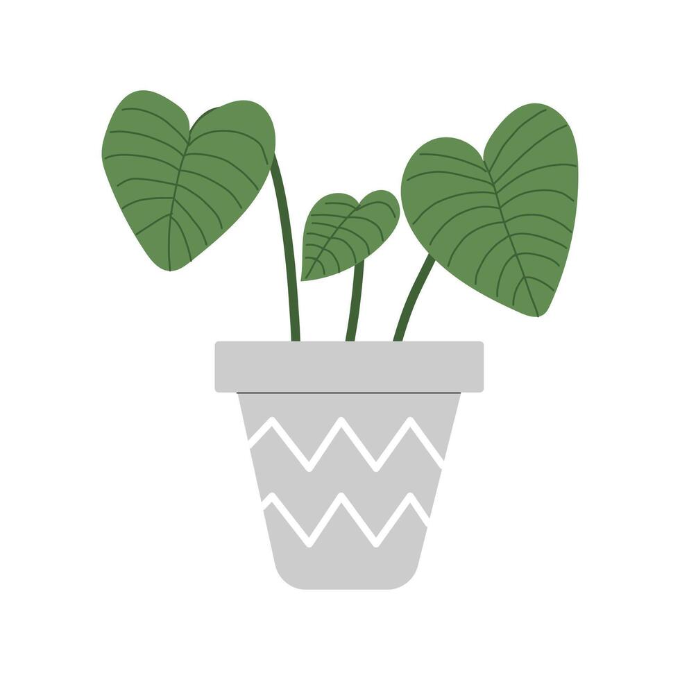 krukväxt. inomhus- växt i en pott. illustration med vit isolerat bakgrund. vektor