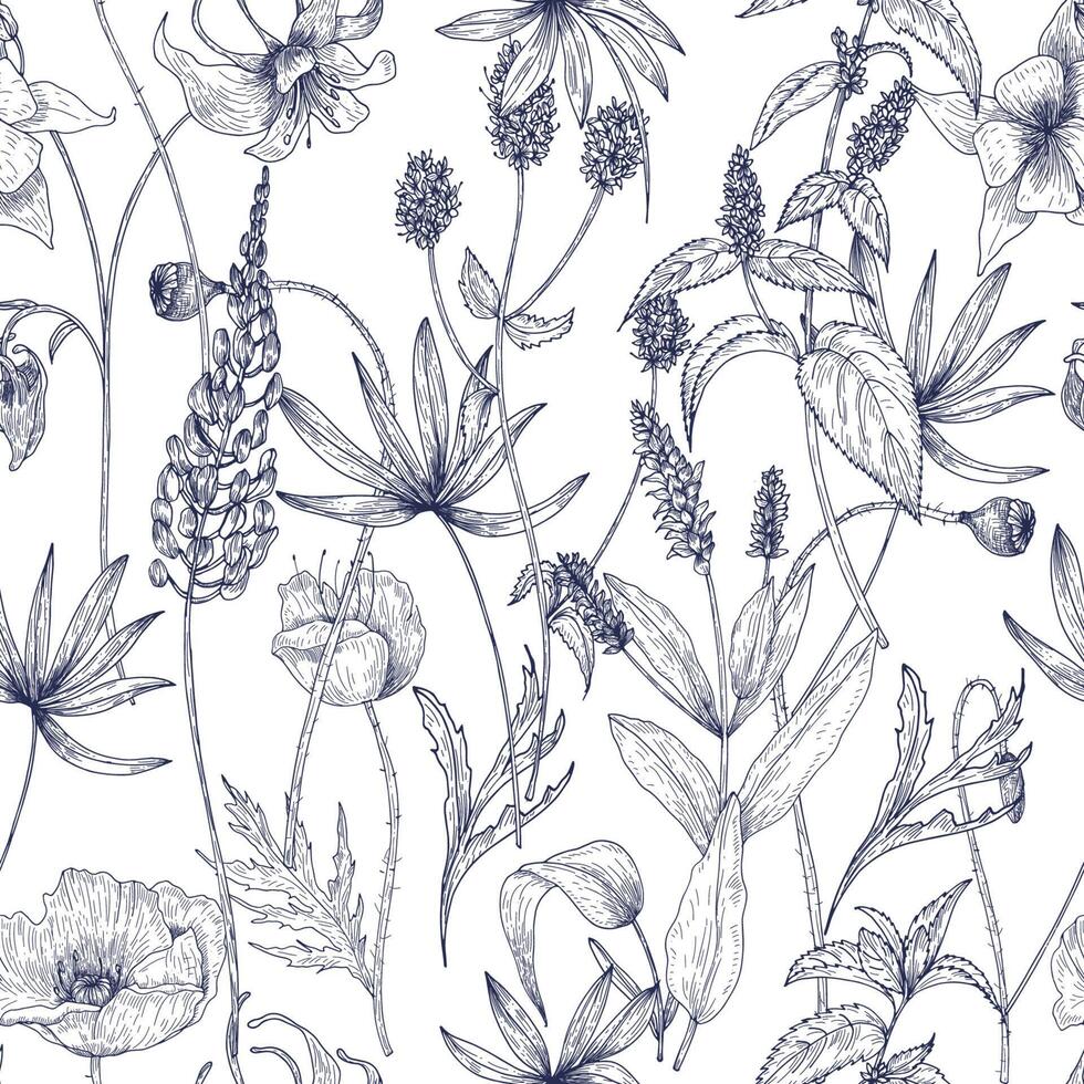 Hand gezeichnet einfarbig Blumen- nahtlos Muster mit Herrlich Jahrgang wild Blumen, Kräuter und krautig Pflanzen auf Weiß Hintergrund. botanisch Illustration im Antiquität Stil. vektor