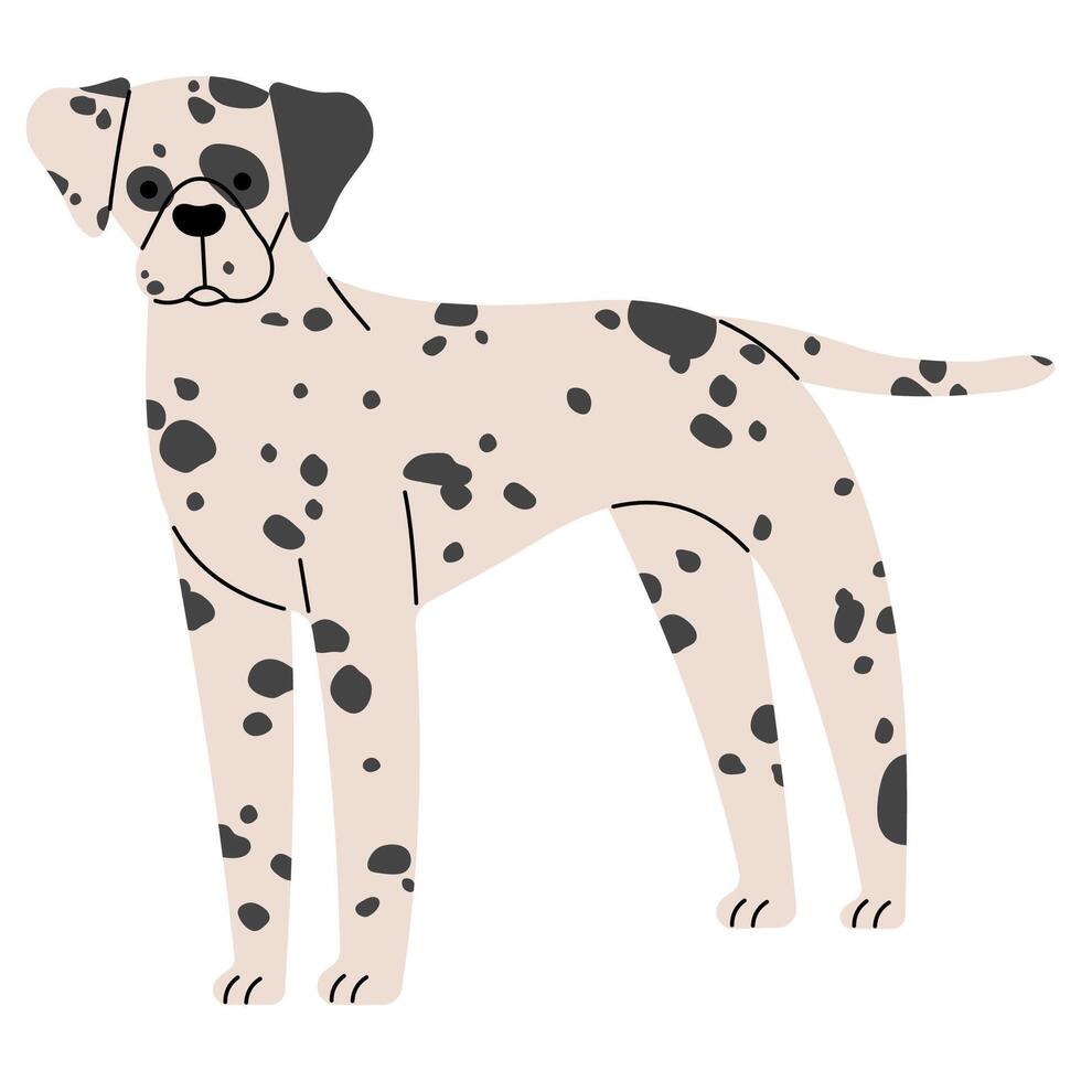 dalmatian söt på en vit bakgrund, illustration. vektor