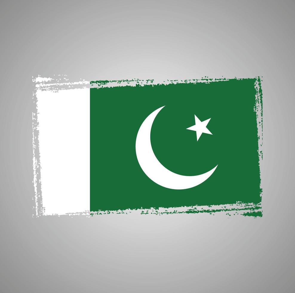 Pakistan flagga med akvarell målad pensel vektor