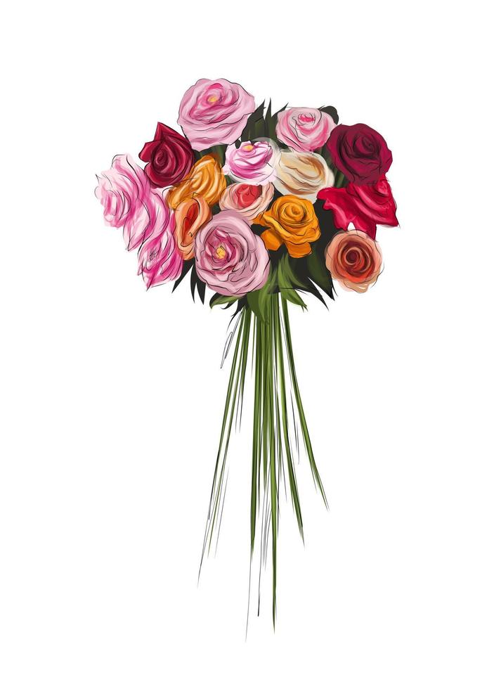 Strauß schöner roter Rosen, Farbzeichnung, realistisch. Vektor-Illustration von Farben vektor