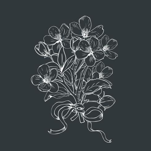 Blommande träd. Handdragen botanisk blommar grenar bukett på svart bakgrund. Vektor illustration