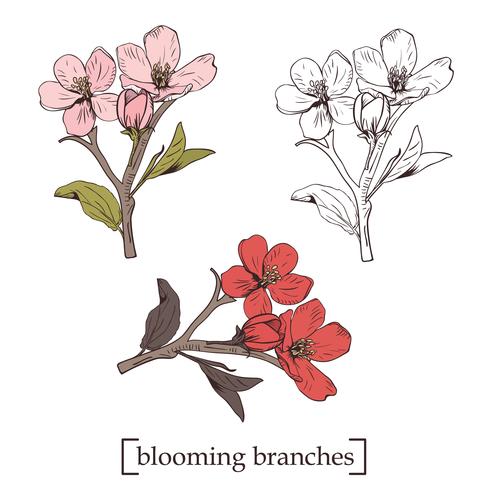 Blommande träd. Ange samling. Handdragen botaniska blommar grenar på vit bakgrund. Vektor illustration