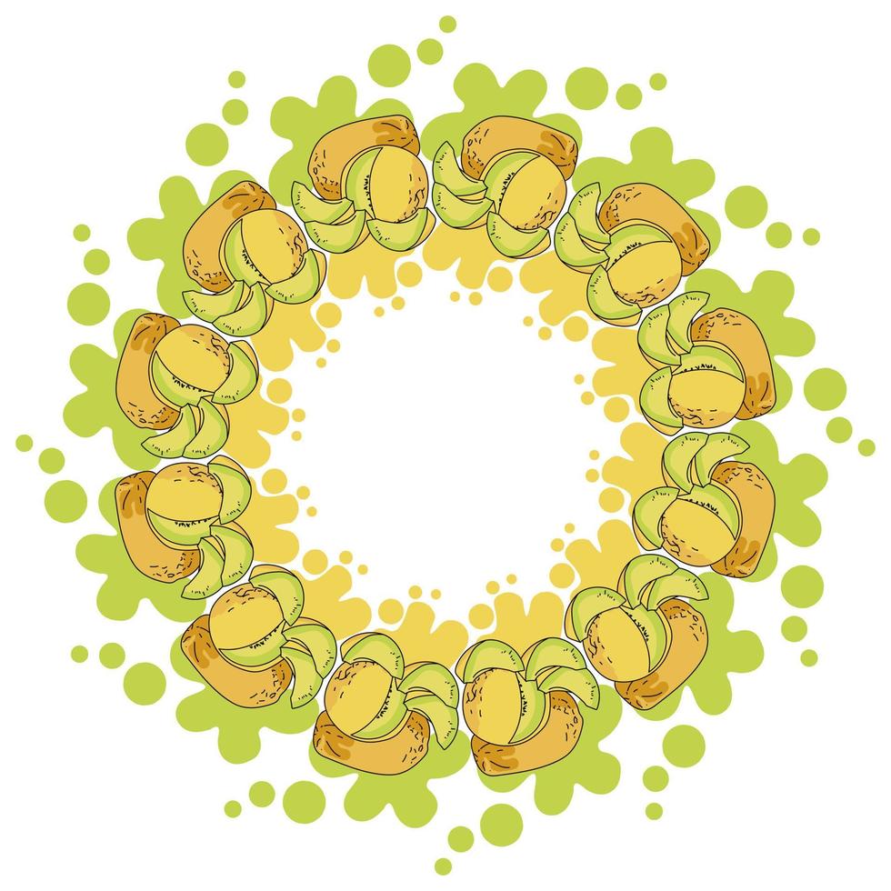 ein Kranz aus saftig gelben Melonen und Farbspritzern mit Spritzern, leuchtend gelben Früchten ganz und Scheiben in Form eines runden Rahmens vektor