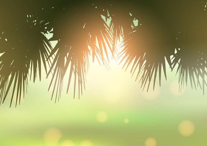Palm tree lämnar mot bokeh ljus bakgrund vektor