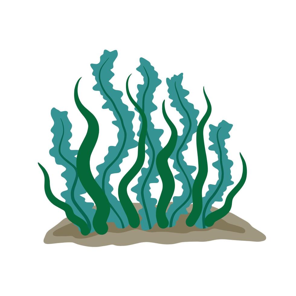 Algen auf Meeresboden. unter Wasser Landschaft. Pflanzen und Seetang mit lange Blätter. Aquarium Symbol isoliert auf Weiß Hintergrund. Element von das Meer und tropisch Wasser vektor