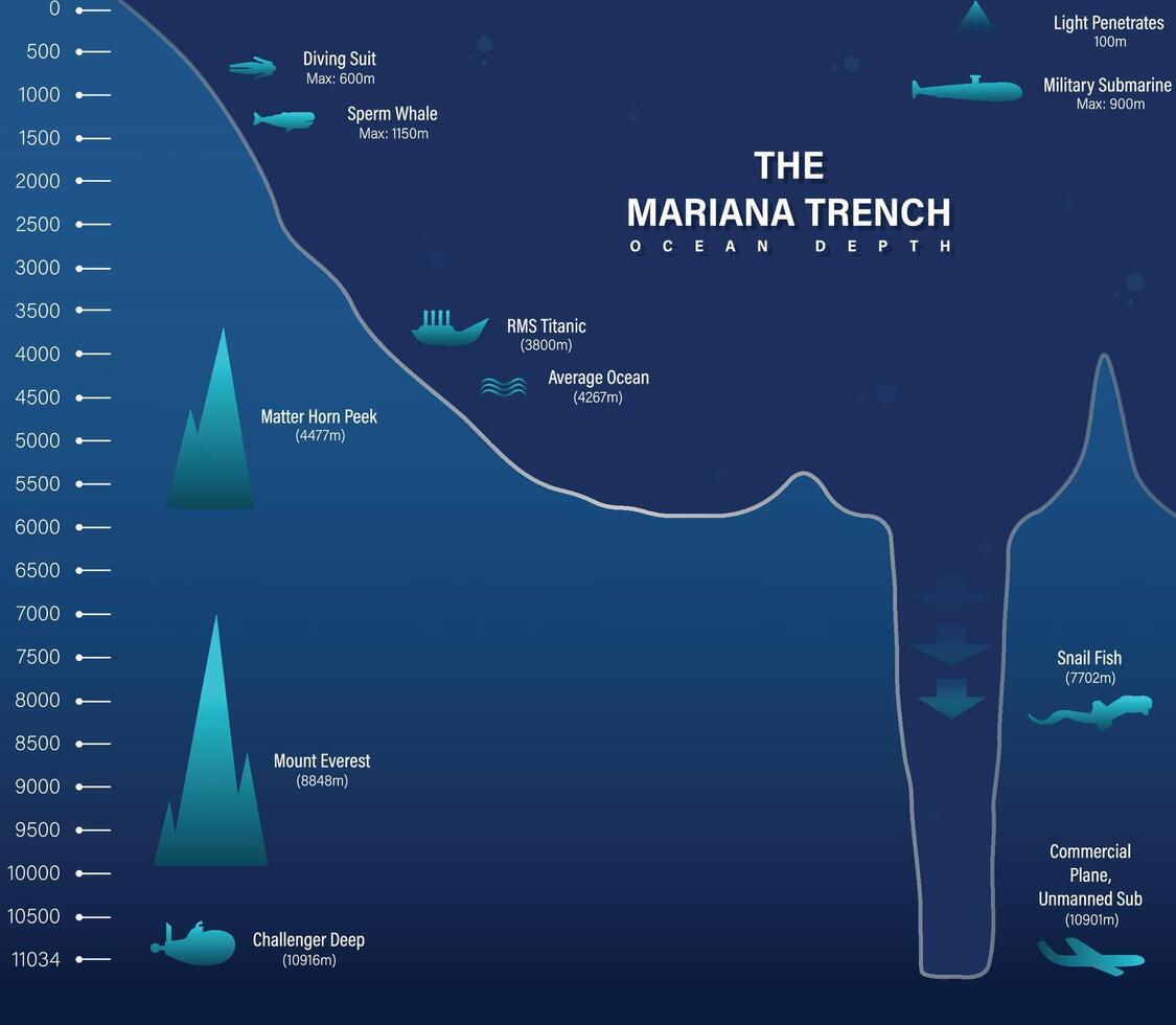 Mariana Graben Meer Illustration, Infografiken oder Analyse, Tiefe von Ozean vektor