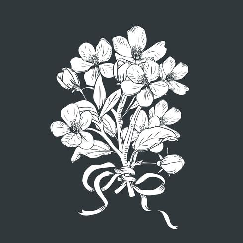 Blühender Baum Hand gezeichneter botanischer Blütenniederlassungsblumenstrauß auf schwarzem Hintergrund. Vektor-illustration vektor