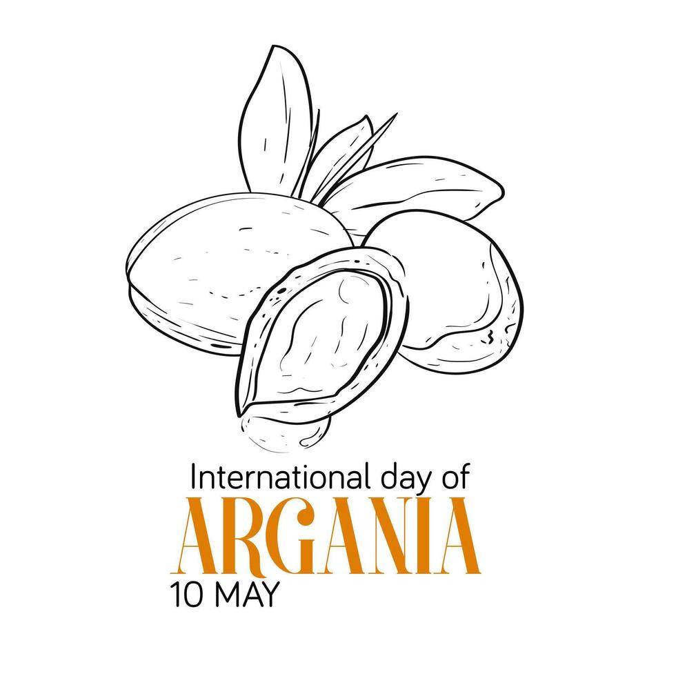 International Tag von Argania Feier Design mit das Argan Öl. Hand Zeichnung Linie Argan Öl Nüsse mit Pflanze Illustration. International Tag von Argania Feier Poster Design vektor