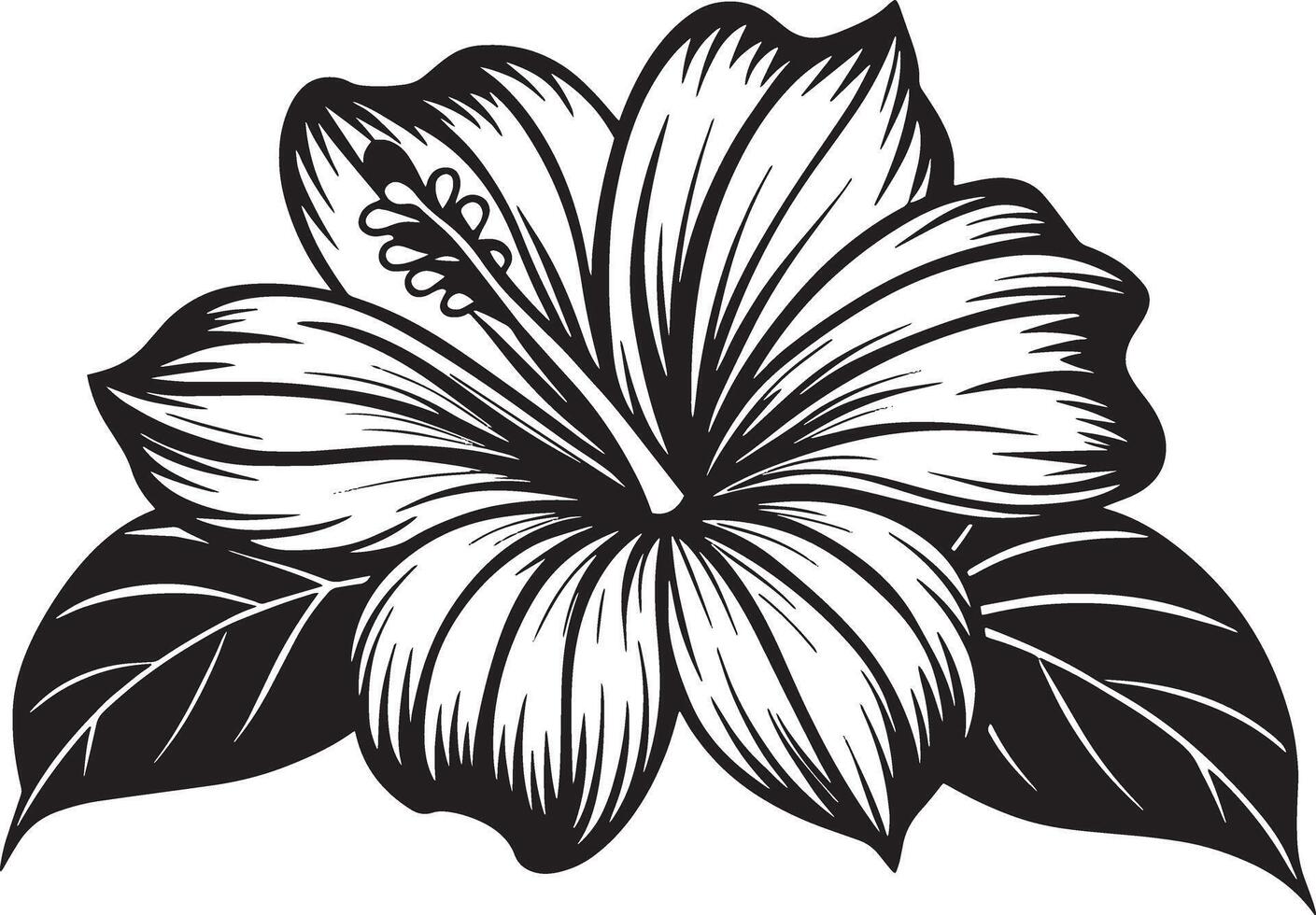 skön hibiskus blomma. på en vit bakgrund.r illustration. vektor