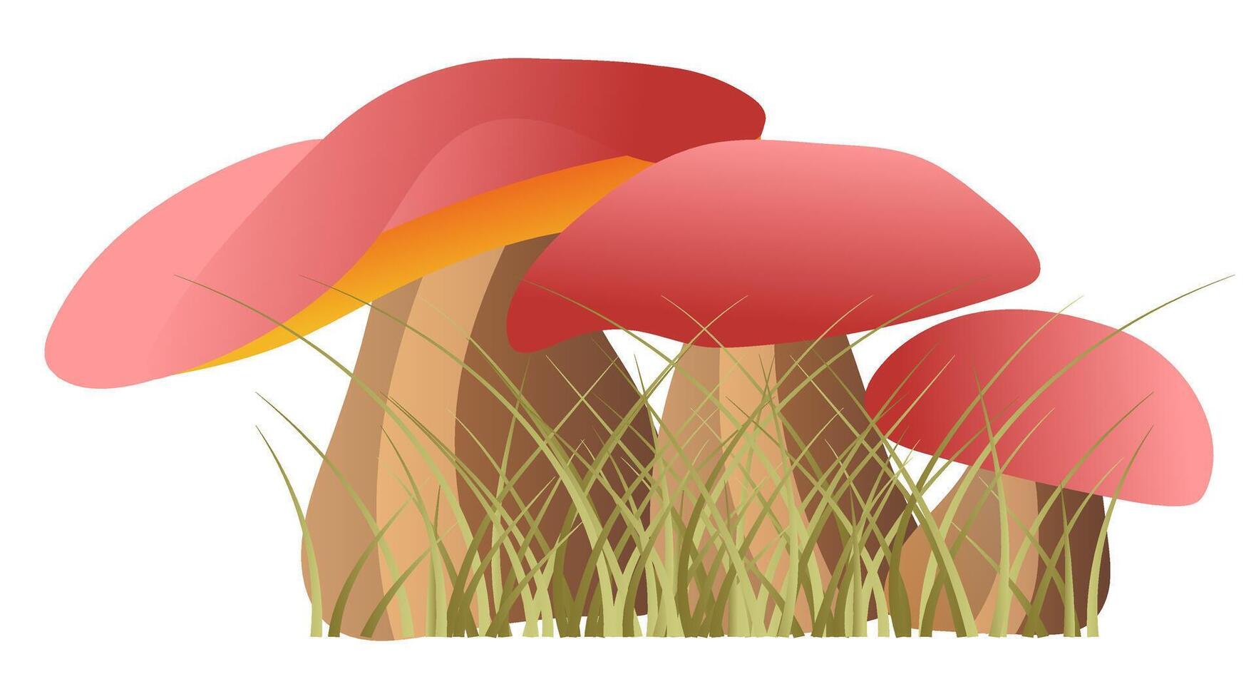 Wald Pilze im Gras im eben Design. Pilz mit rot Kappen im Gras. Illustration isoliert. vektor