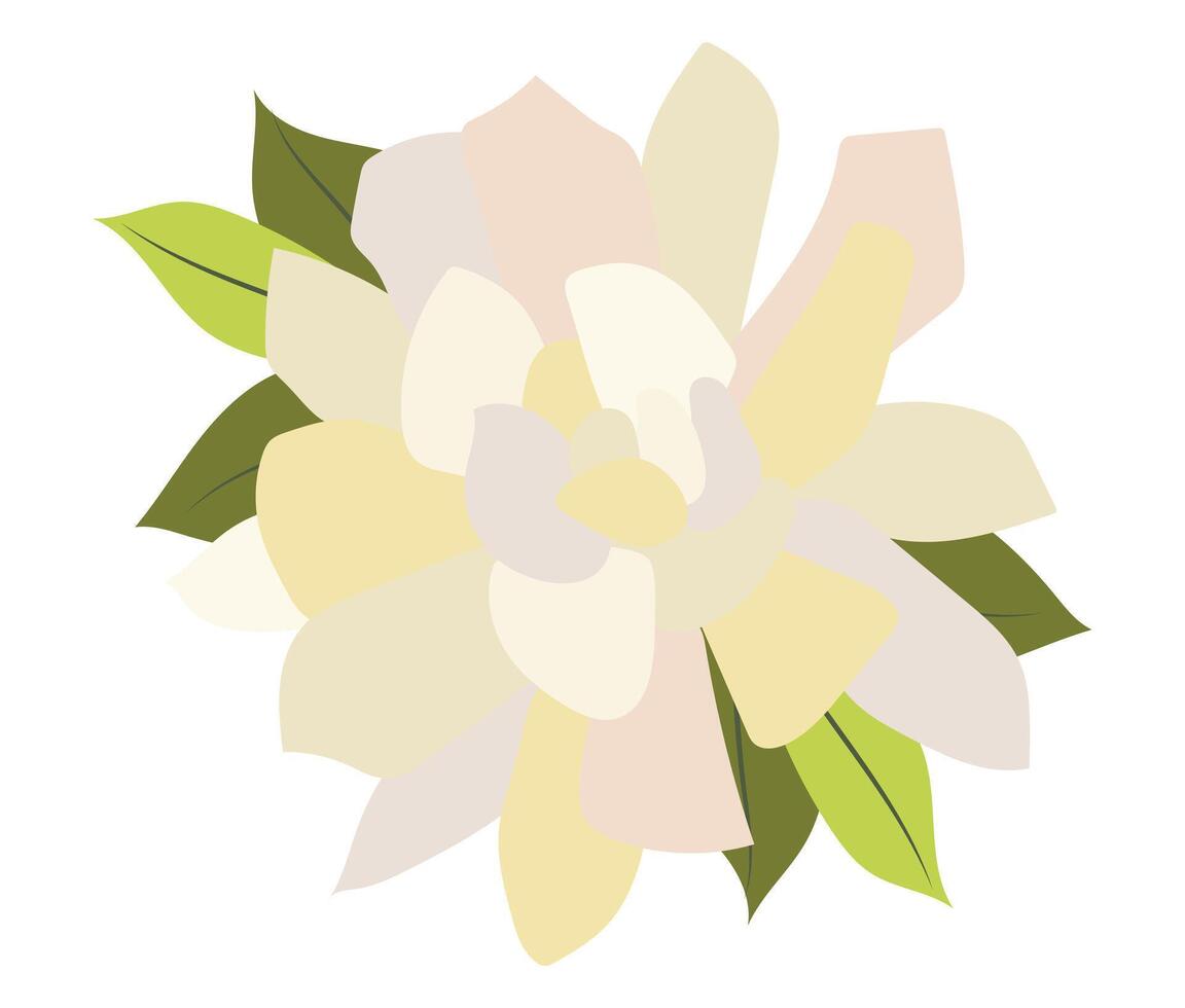 abstrakt vit pion med löv i platt design. reste sig blomma huvud. illustration isolerat. vektor