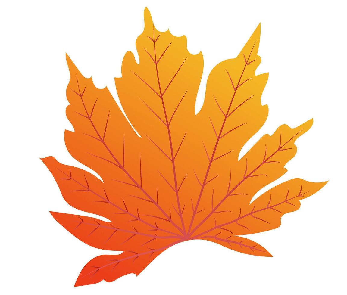 Herbst Orange Blatt mit Venen im eben Design. dekorativ hell Laub. Illustration isoliert. vektor