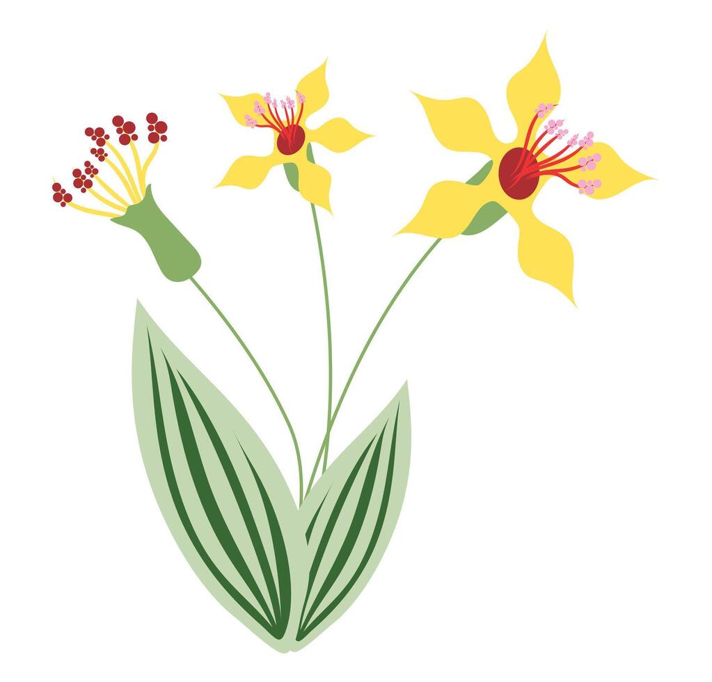 abstrakt Gelb tropisch Blumen im eben Design. Blühen exotisch Orchideen. Illustration isoliert. vektor