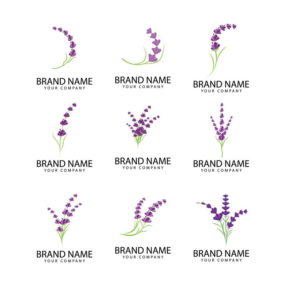 Lavendel floral aromatische Logo Vektor Icon Illustration Design