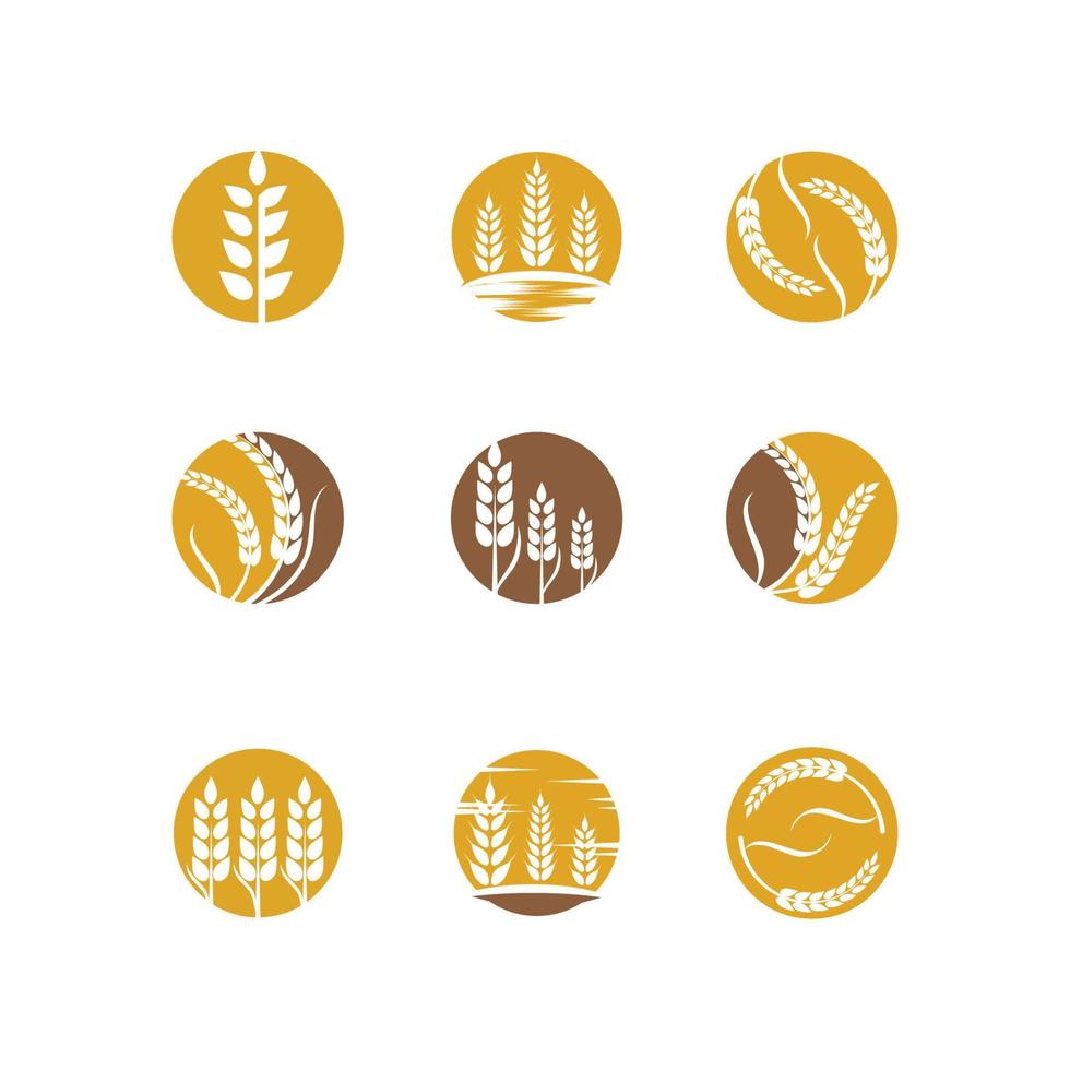 Landwirtschaft Weizen Logo Vorlage Vektor Icon Design